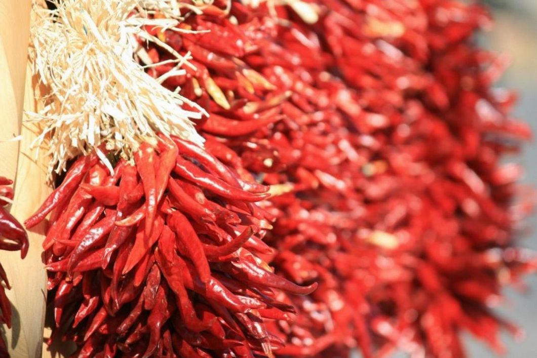 Close-up seasonal dish